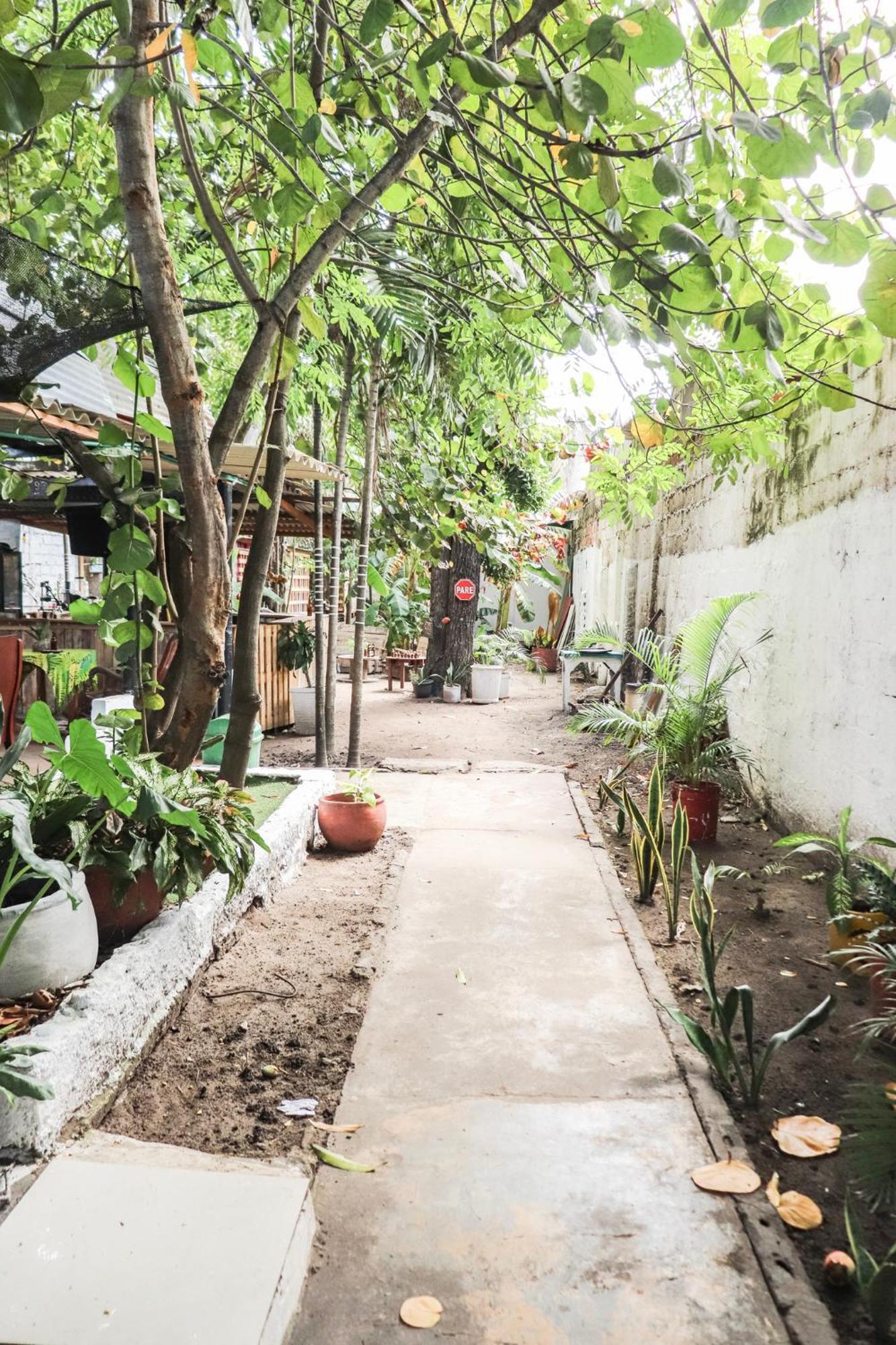 Nahimara Champeta Hostel Cartagena المظهر الخارجي الصورة